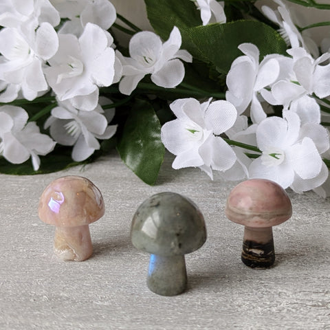 Mini Crystal Mushrooms - Sold As Seen