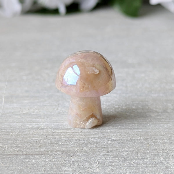 Mini Crystal Mushrooms - Sold As Seen