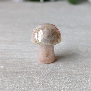 Mini Crystal Mushrooms - Sold As Seen