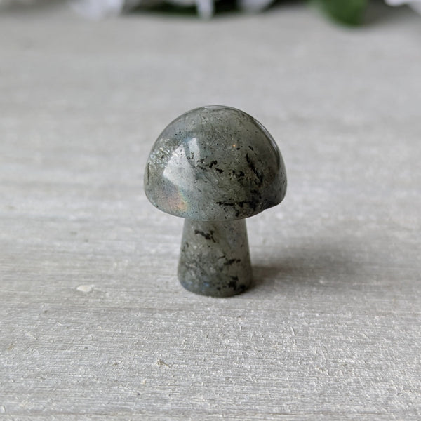 Mini Crystal Mushrooms - Sold As Seen