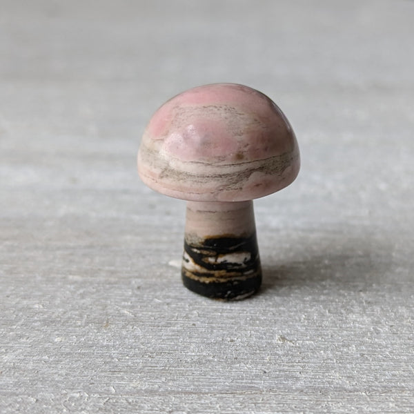 Mini Crystal Mushrooms - Sold As Seen