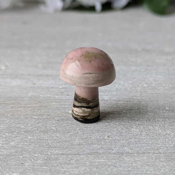 Mini Crystal Mushrooms - Sold As Seen