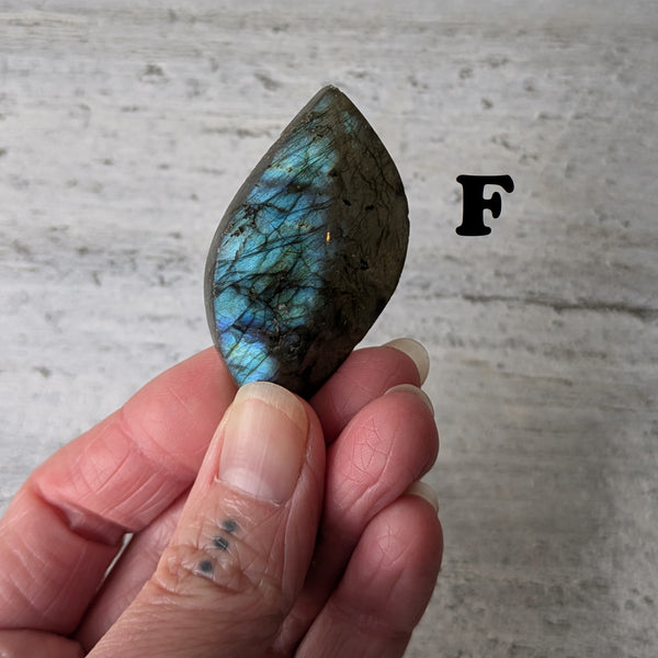 Labradorite Polished Leaf - Sold As Seen