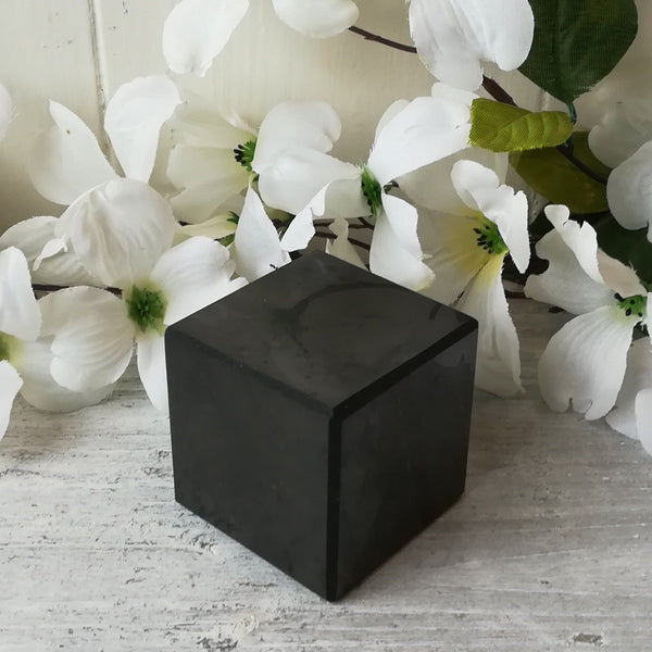 Shungite Cube