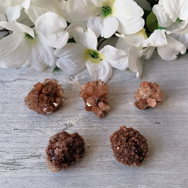 Aragonite Sputnik Cluster